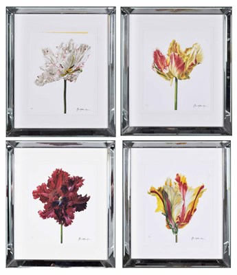 Lot 112 - TROWBRIDGE GALLERY BOTANICAL PRINTS (4)