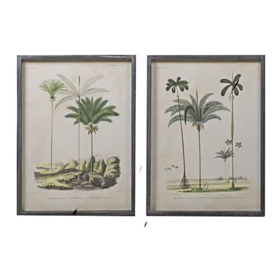 Lot 60 - TWO BOTANICAL PALM TREE PRINTS