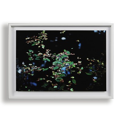 Lot 121 - NATASHA DURLACHER