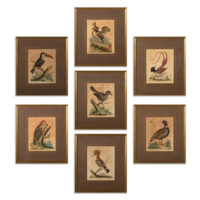 Lot 113 - GEORGE EDWARDS BIRD PRINTS, A SET OF SEVEN