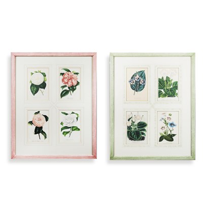 Lot 105 - BOTANICAL PRINTS (2)