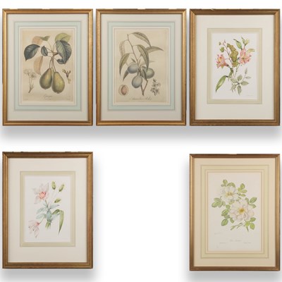 Lot 106 - BOTANICAL PRINTS (5)