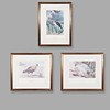 Lot 52 - AFTER THOMAS BAINES (BRITISH 1820-1875). THREE PRINTS OF BIRDS (3)