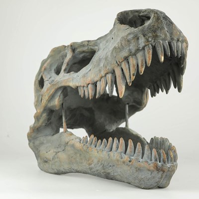 Lot 226 - WALL MOUNTING FAUX T REX FOSSIL BUST.
