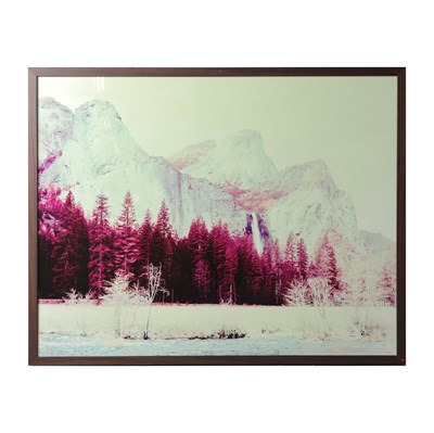 Lot 124 - MARCO WALKER (b. 1976)